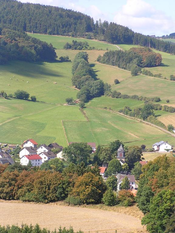 Apartment Preising Willingen  Esterno foto